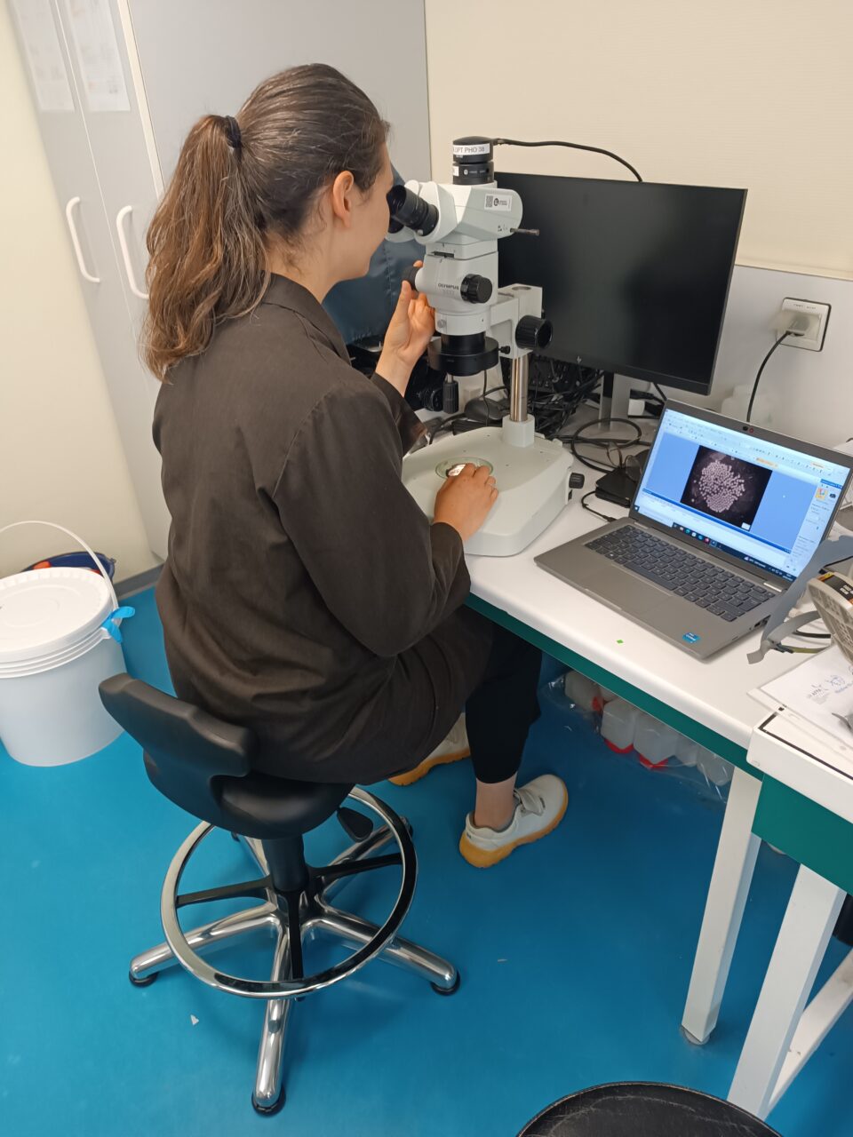 chaise de laboratoire PEA Chaise de laboratoire devant microscope PEA