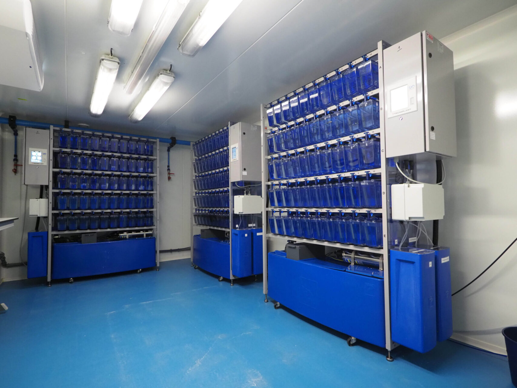 Salle-elevage-Zebrafish-scaled