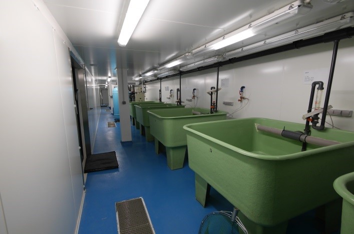 station-élevage-larvaire