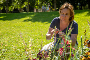Vignette - Un guide pour mesurer les caractéristiques des fleurs liées à la pollinisation