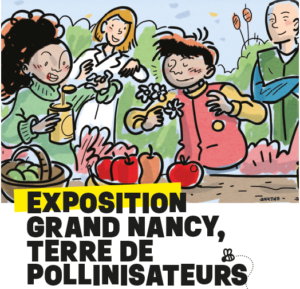 Vignette - Exposition Grand Nancy Terre de pollinisateurs