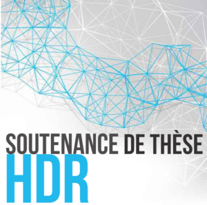 Vignette - Habilitation à Diriger des Recherches – SOLER Nicolas – DynAMic