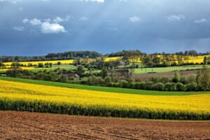 Vignette - L’enjeu pour la biodiversité du changement d’échelle des recherches en agroécologie