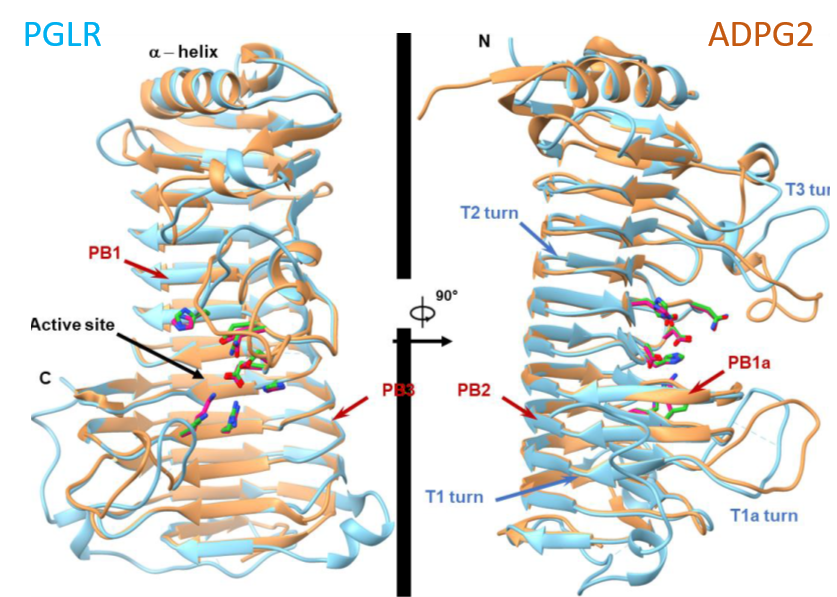Image-1-actu-ASIA-12.05.2023
